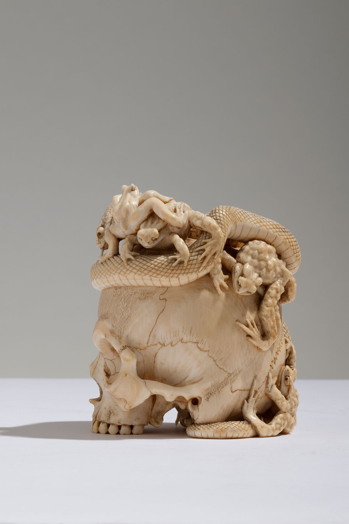 Japanese Ivory Skull with Coiled Snake and Toads